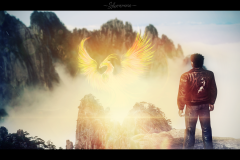 Rise of the Phoenix