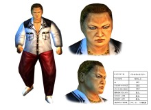 nva_s