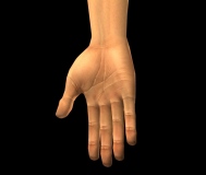 te_01