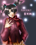 20041009