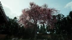 Hazukiresidence-Screenshot-2025.12.14-09.39.59.30