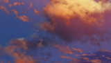 scene00006