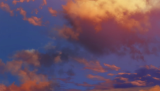 scene00011