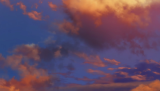 scene00016