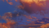 scene00021