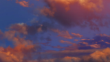 scene00026