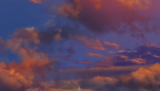 scene00031