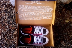 shoes3