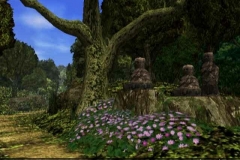 image24