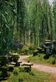 Shenmue3-Win64-Shipping-2021-08-14-20-16-07