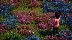 Shenmue3-Win64-Shipping-2022-01-03-03-02-57