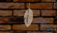vlcsnap-10002018-09-08-15h19m49s543