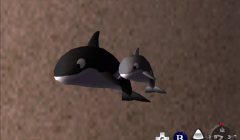 vlcsnap-00081