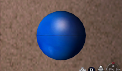 w81