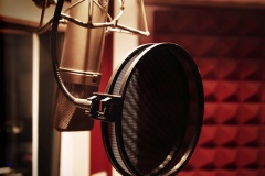 Shenmue II - Behind the mic