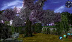 vlcsnap-10002019-04-21-20h10m33s403