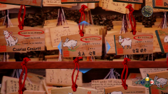 Shenmue-3-Screenshot-2020.08.23-16.08.15.65