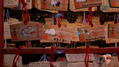 Shenmue-3-Screenshot-2020.08.23-16.08.22.59