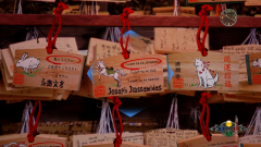 Shenmue-3-Screenshot-2020.08.23-16.08.32.53