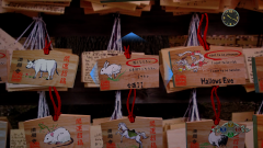 Shenmue-3-Screenshot-2020.08.23-16.09.05.83