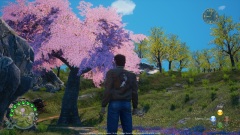 Shenmue-III-Enhanced-Ternary-Spring-Angled-1
