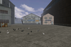 Harbor-13