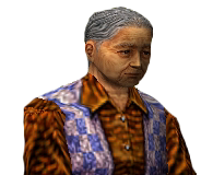 12-Kame-Shibukawa