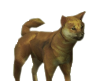 354-Dog-brown