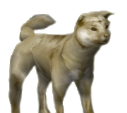 355-Dog-white