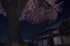 Cherry-Tree
