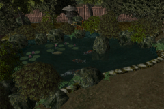 Pond