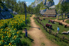 Sunflower Grove