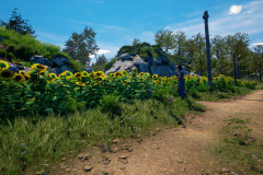 Sunflower Grove Exterior