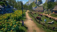Sunflower-Grove-11