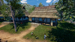 Sunflower-Grove-12