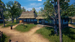 Sunflower-Grove-14