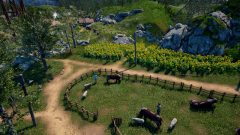 Sunflower-Grove-19