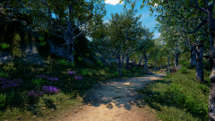Sunflower-Grove-26