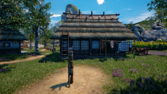 Sunflower-Grove-29