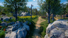 Sunflower-Grove-3
