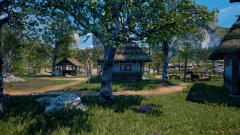 Sunflower-Grove-30