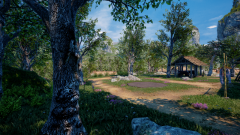 Sunflower-Grove-31