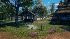 Sunflower-Grove-33