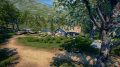 Sunflower-Grove-34