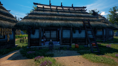 Sunflower-Grove-35