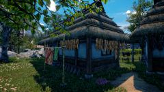 Sunflower-Grove-36