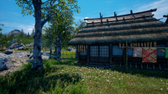 Sunflower-Grove-37