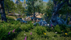 Sunflower-Grove-38