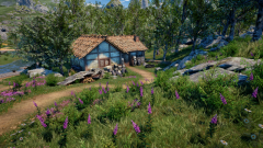 Sunflower-Grove-39