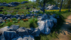 Sunflower-Grove-4